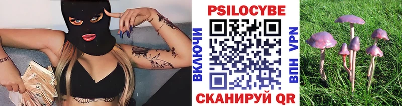 Галлюциногенные грибы Psilocybe  Белорецк 